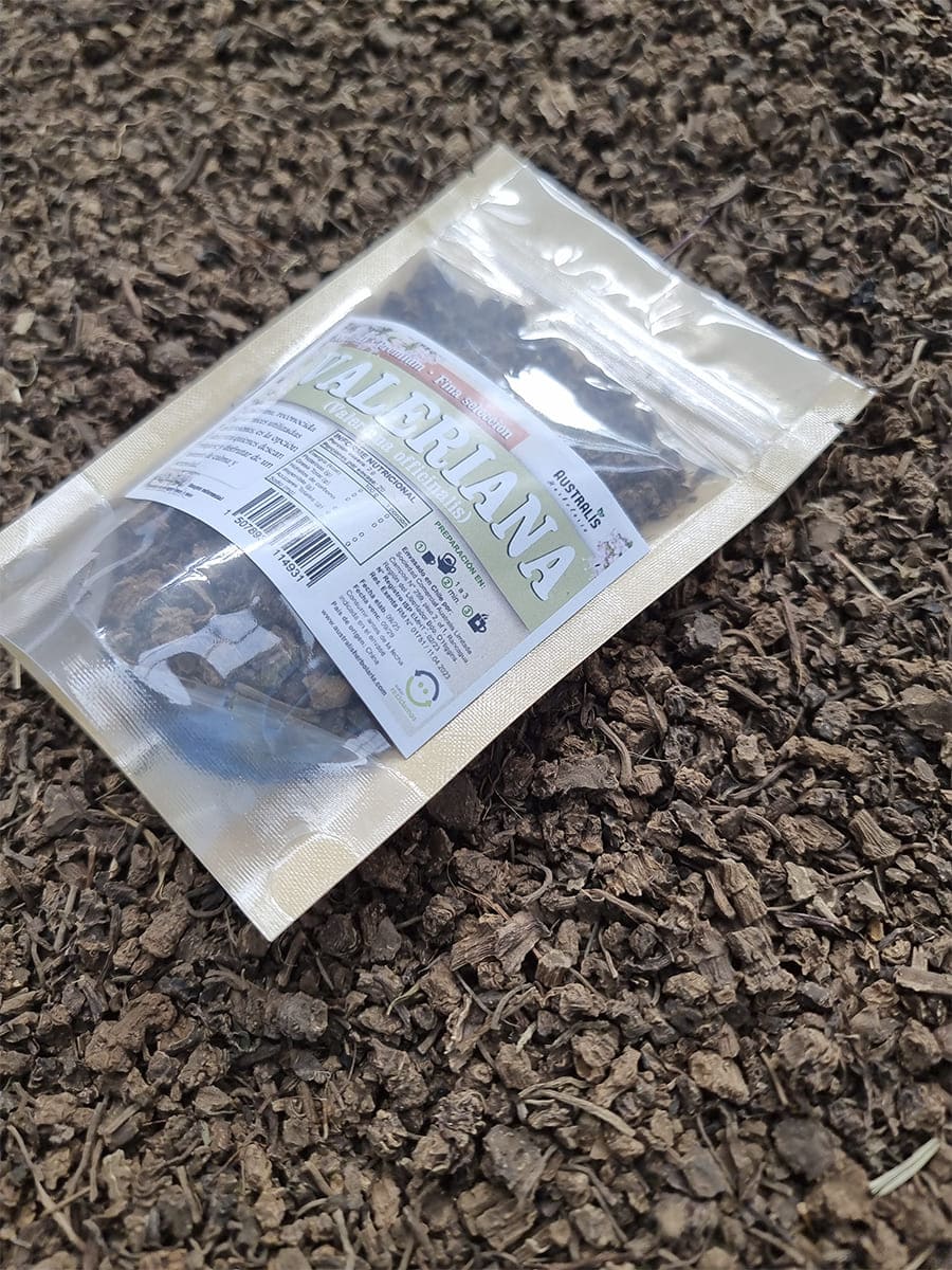 raíces de valeriana deshidratadas para té de hierbas