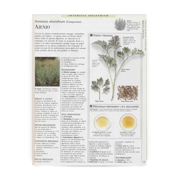 Enciclopedia digital hierbas medicinales