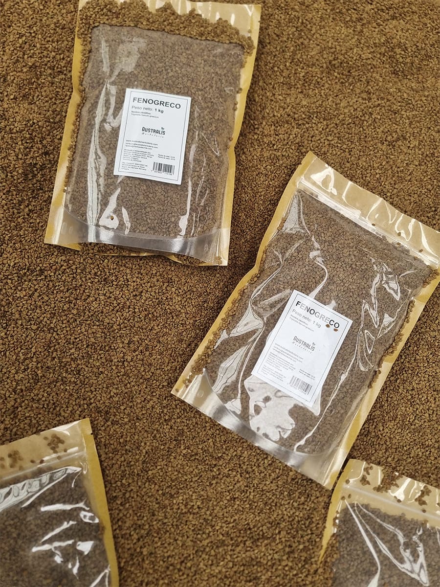 Semillas secas de fenogreco para preparar infusión