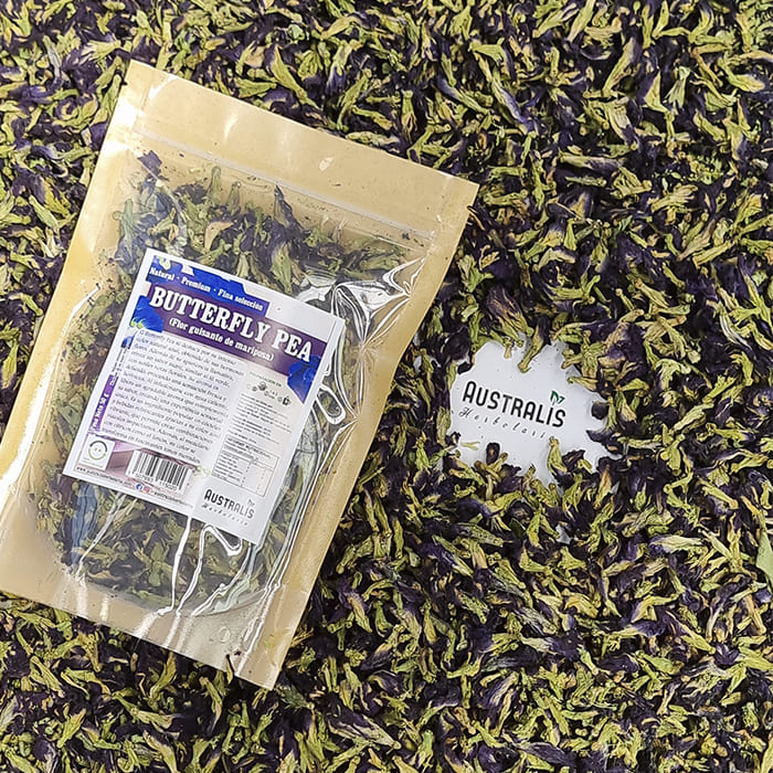 Flor Guisante Butterfly Pea