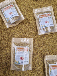 Olivo dulce en flores aromáticas para preparar té o infusión