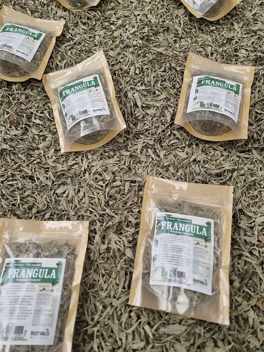 Frángula seca para preparar infusión natural de uso tradicional