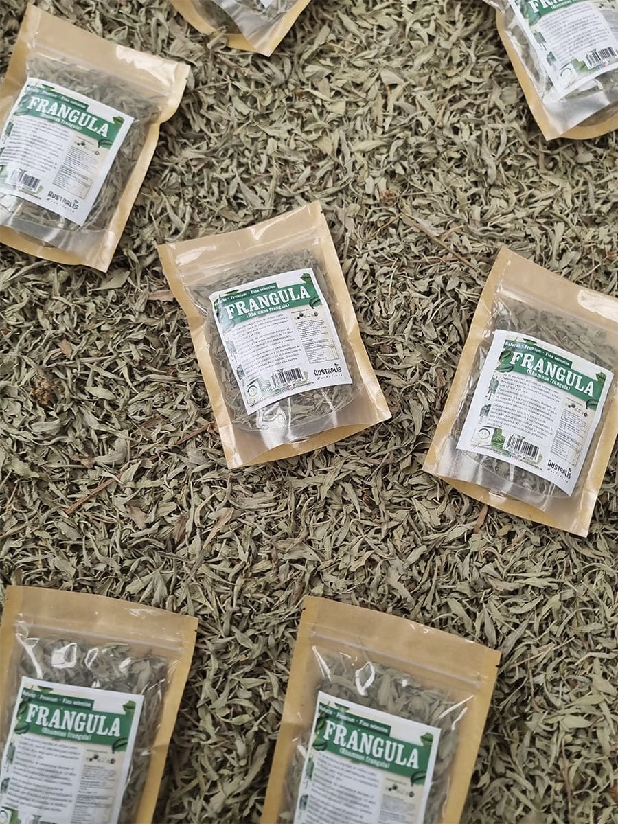 Frángula seca seleccionada para infusión natural y apoyo intestinal