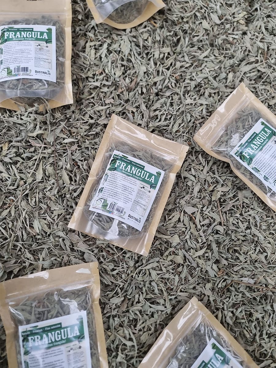 Infusión de frángula seca para tránsito intestinal lento