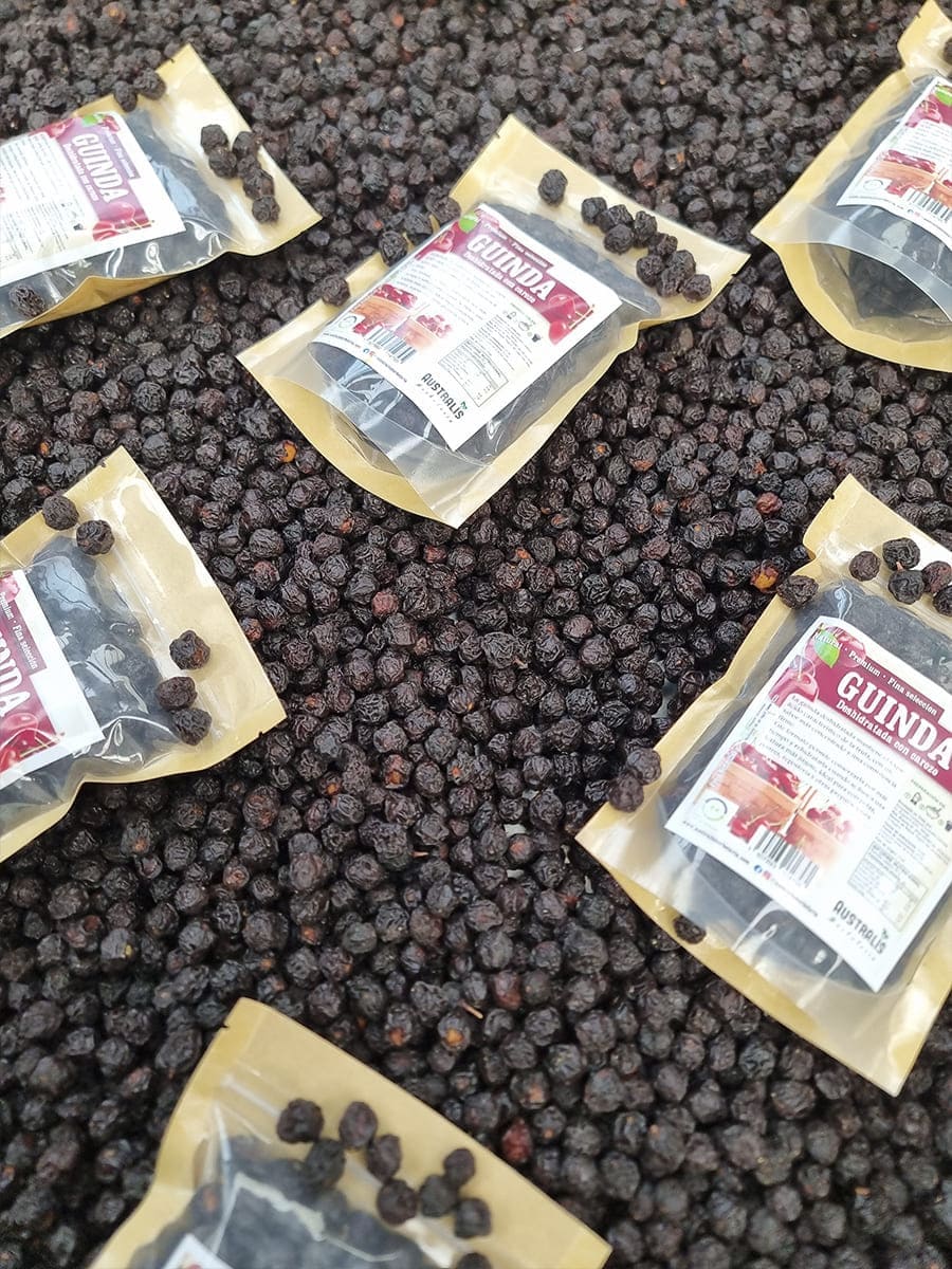 Guindas deshidratadas para snack y recetas dulces