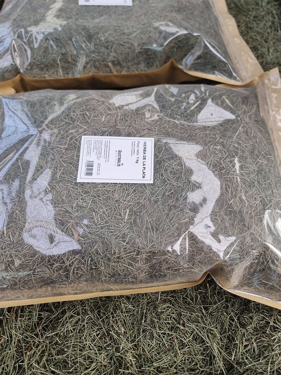 Yerba platero seca en formato mayorista
