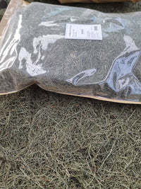 Platero Equisetum bogotense seco a granel