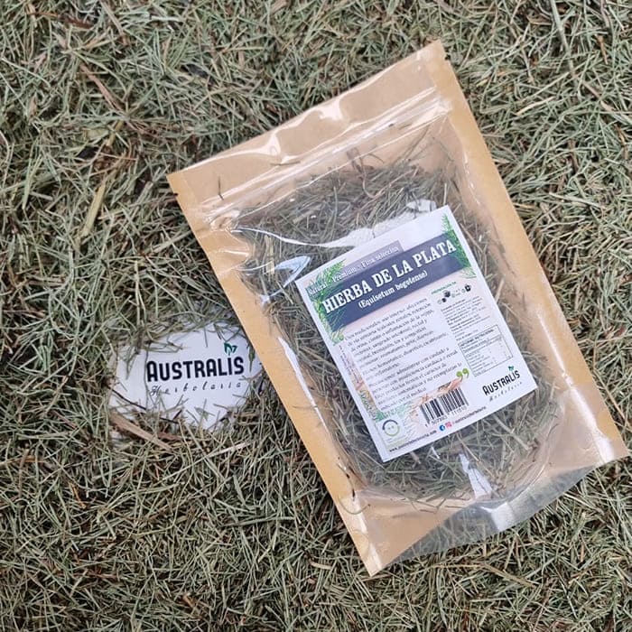Hierba de la Plata - Platero Seca
