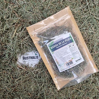 Hierba de la Plata - Platero Seca