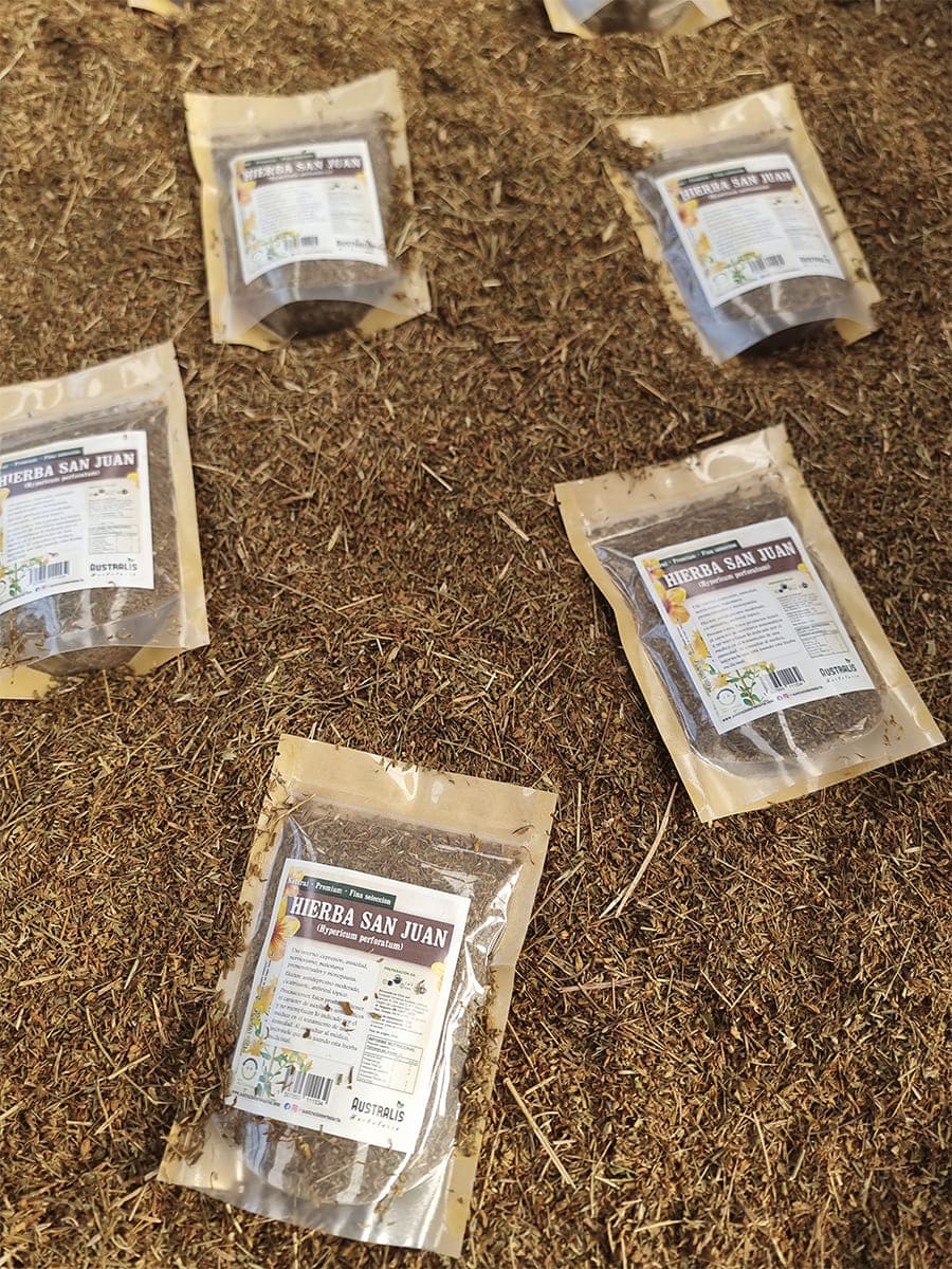 Hierba de San Juan seca para té herbal tradicional