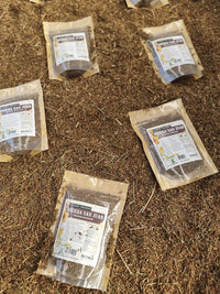 Hierba de San Juan seca para té herbal tradicional
