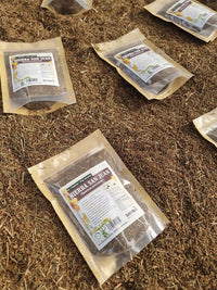 Hierba seca de hipérico para preparar té de San Juan