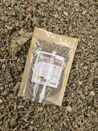 hierba del paño gordolobo seco para infusión en chile