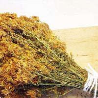 Hierba San Juan Hipérico