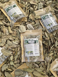 Hojas secas de boldo a granel para infusiones
