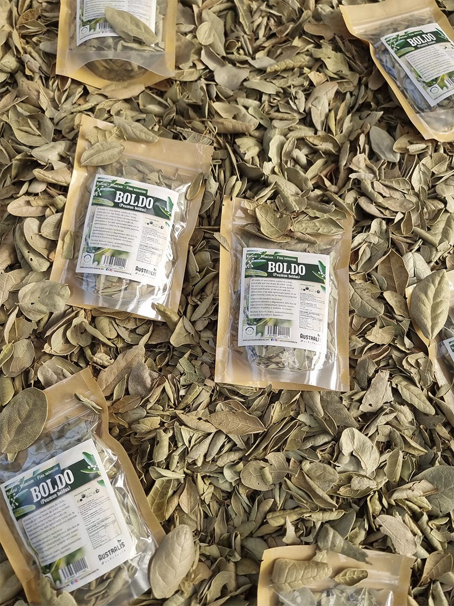 Hierba seca de boldo natural para té de hierbas
