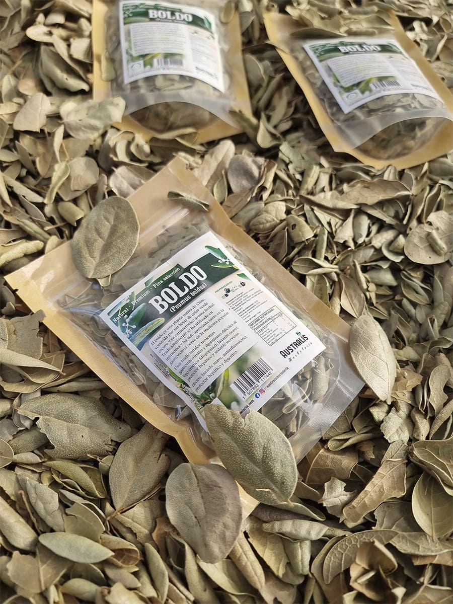 Hojas de boldo deshidratadas para infusión herbal