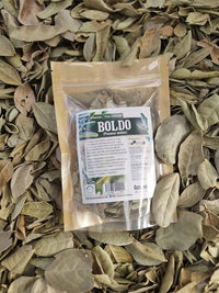 Boldo hierba natural seca para té e infusión