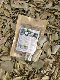 Hojas de boldo para infusión en formato seco