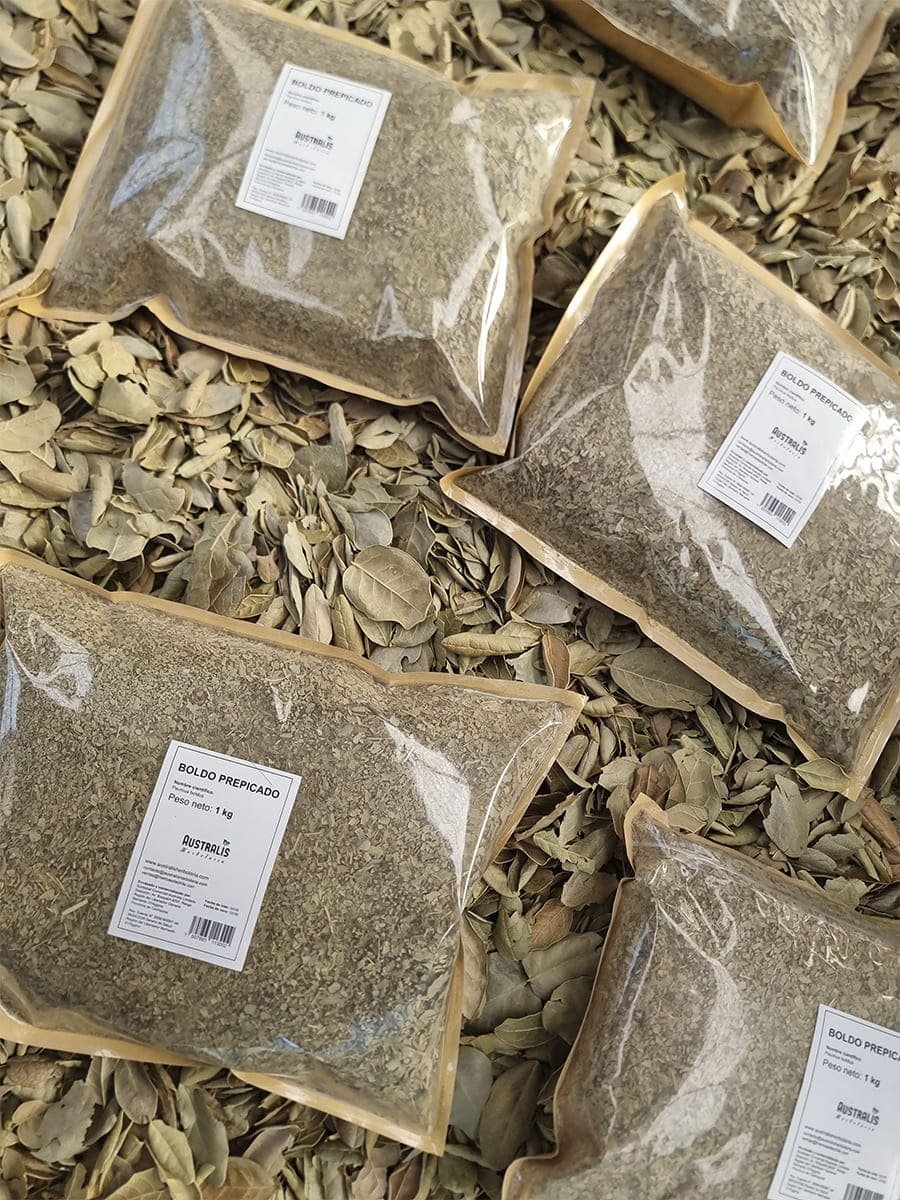 Hojas secas de boldo a granel para preparación de infusiones