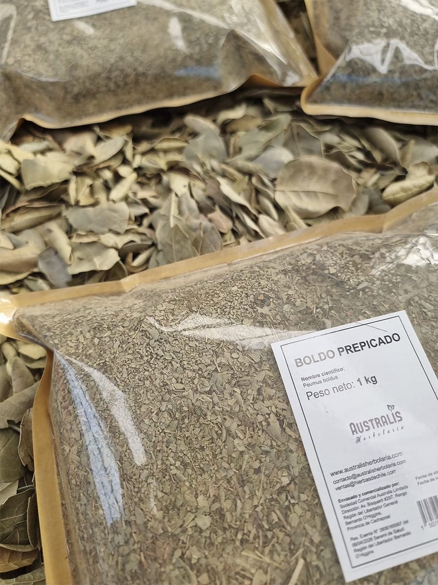 Boldo hierba seca prepicada para uso en bolsitas de té