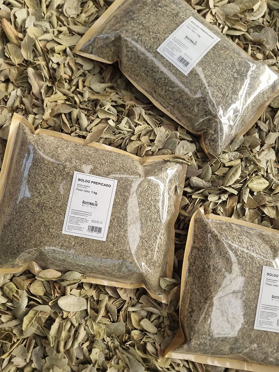 Boldo Peumus boldus en kilo para elaboración de tés e infusiones