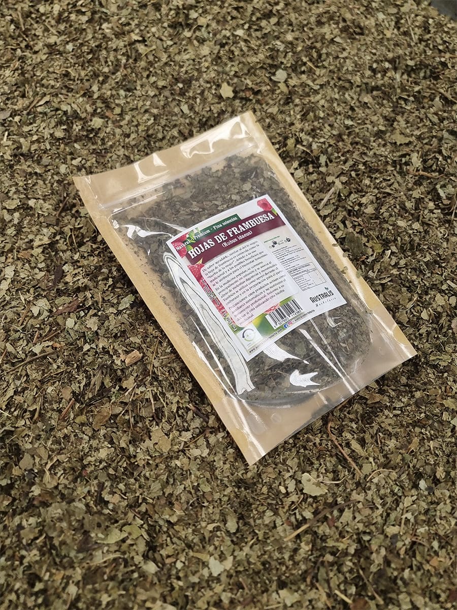 Hojas de frambuesa naturales y secas para preparar té en casa