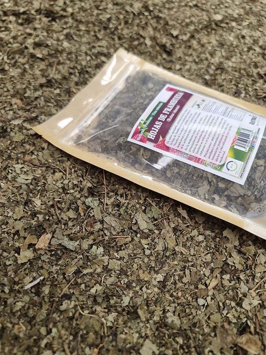 Hojas de frambuesa deshidratadas listas para té herbal e infusión caliente