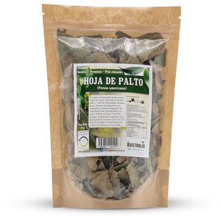 Hojas de Palto infusión Chile