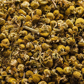 Manzanilla flor seca