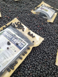 Fruto entero de maqui berry seco y deshidratado