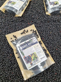 Bayas de Aristotelia chilensis para rehidratar en recetas