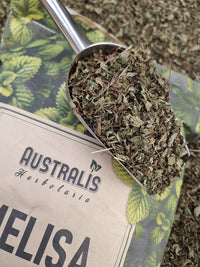 Hierba seca de melisa Melissa officinalis para infusiones