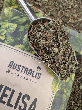 Hierba seca de melisa Melissa officinalis para infusiones