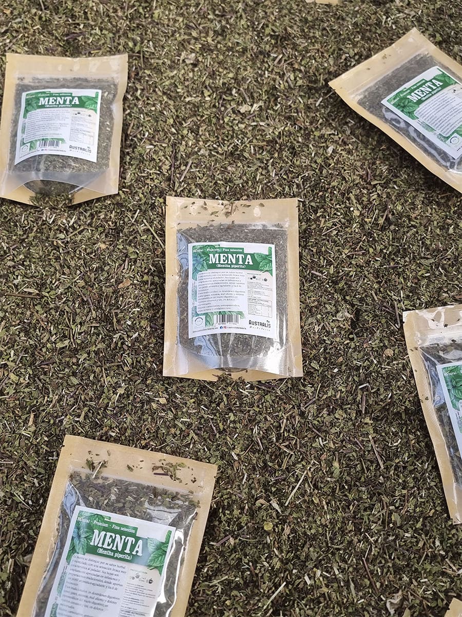 Hojas secas de menta piperita aromática