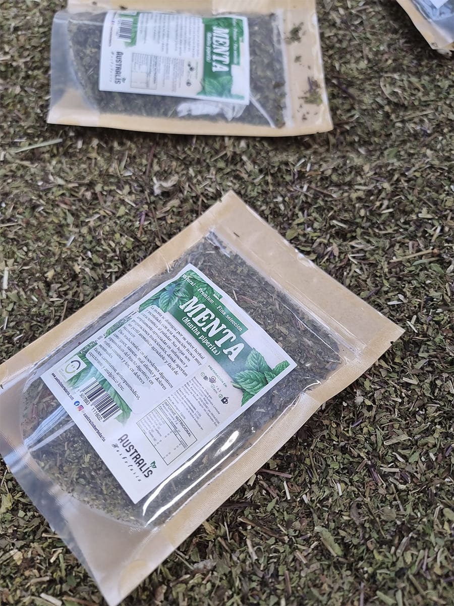 Menta piperita seca de uso herbal