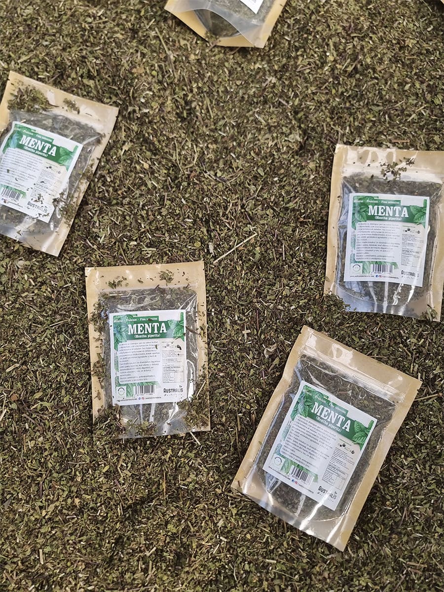 Hojas de menta piperita para infusiones