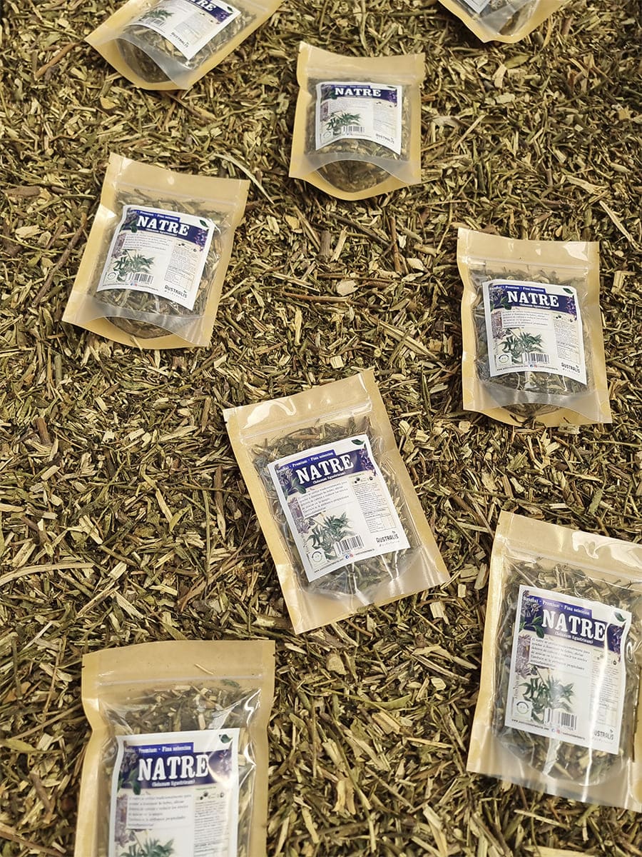 Hierba de natre deshidratada utilizada tradicionalmente para la fiebre