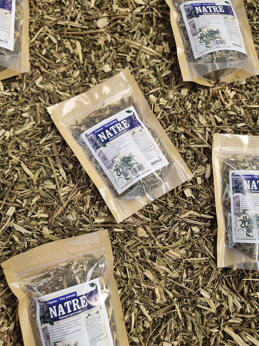 Natre chileno seco utilizado en preparaciones herbales tradicionales