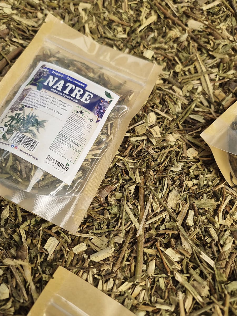 Hierba de natre Solanum ligustrinum para preparar infusión caliente