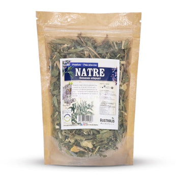 Natre Solanum ligustrinum en hierba seca para infusión