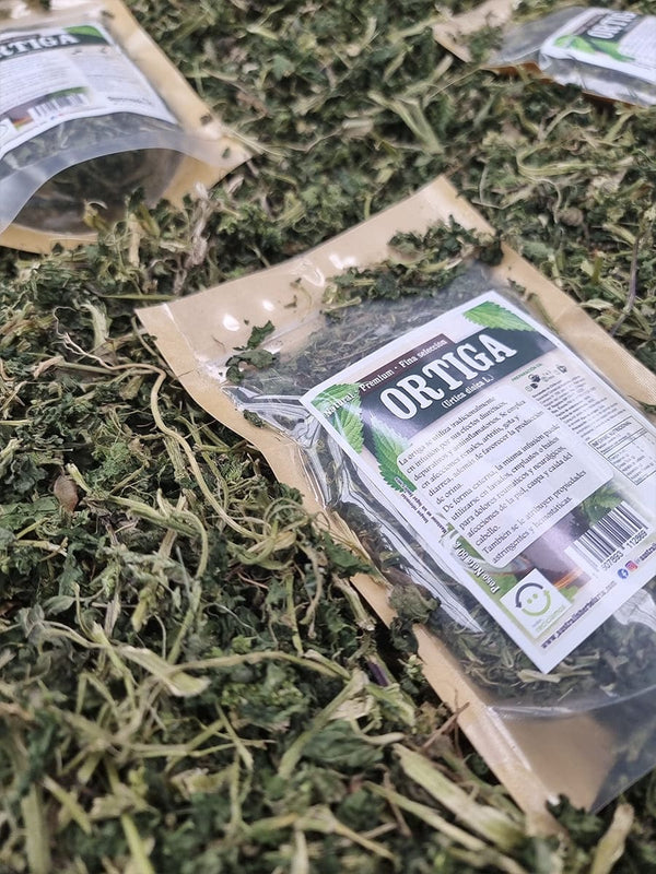 Ortiga en hojas para preparaciones herbales asociadas a molestias reumáticas
