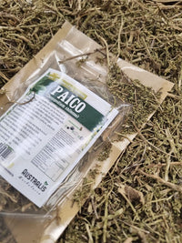 Paico seco a granel para infusión natural y preparación de tés herbales
