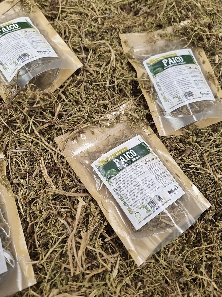 Paico hierba natural deshidratada para té e infusión herbal