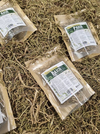 Paico hierba natural deshidratada para té e infusión herbal