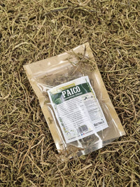 Paico seco Chenopodium chilense presentado como hierba natural para té
