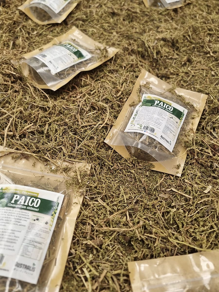 Paico natural para infusión herbal en formato de hierba seca