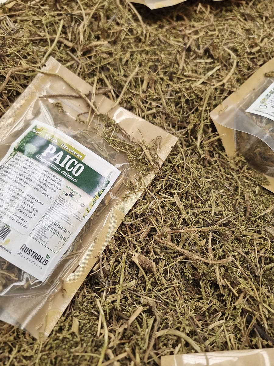 Chenopodium chilense en hierba seca natural para preparación de tés
