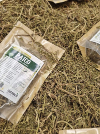 Chenopodium chilense en hierba seca natural para preparación de tés
