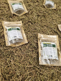 Paico seco natural a granel ideal para infusión y mezclas de tés